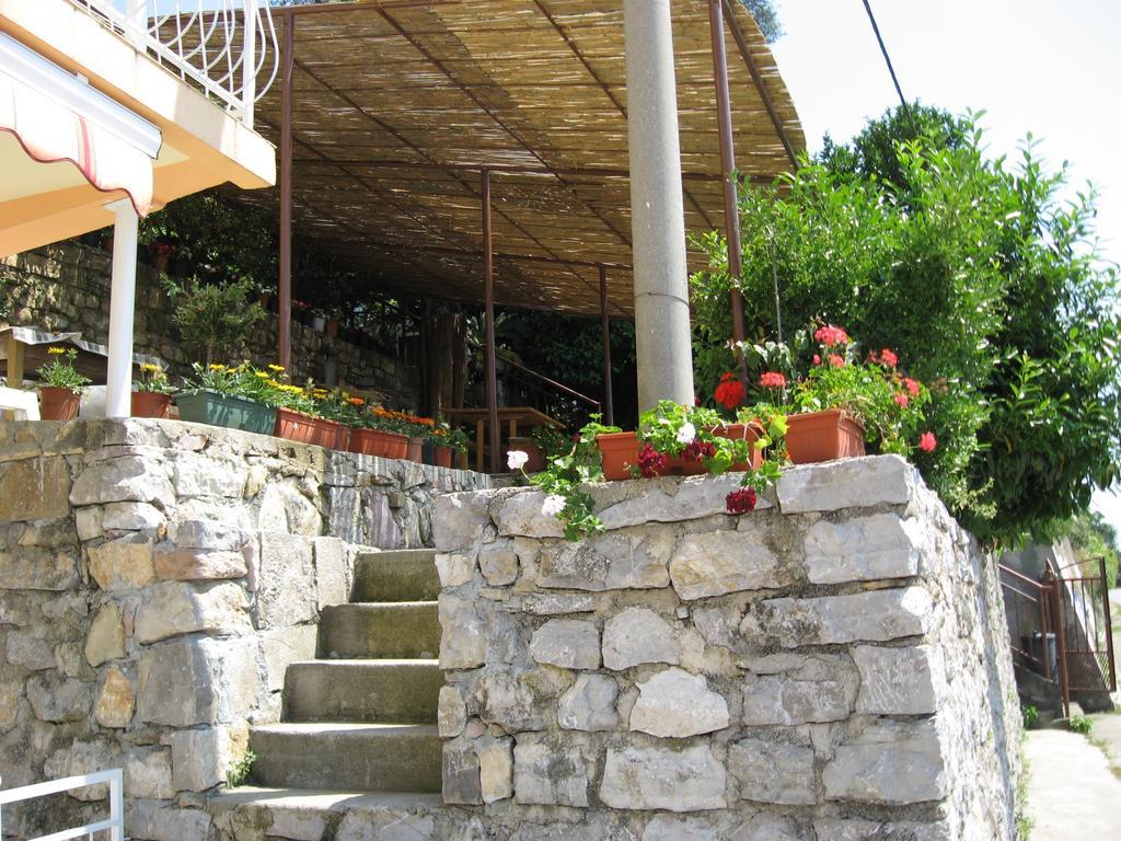 Apartments Olga Tivat Kültér fotó